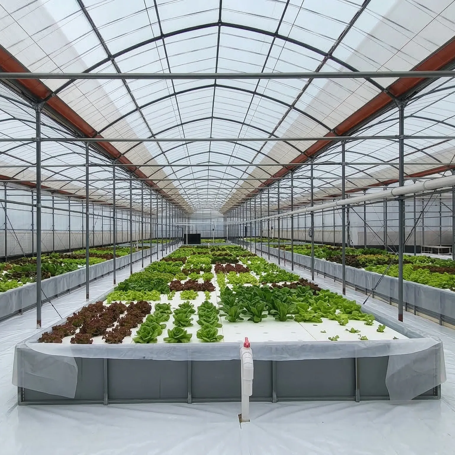 Leafy greens growing in the hydroponic beds inside Nakcheon House